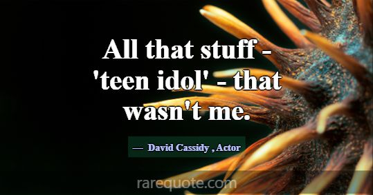 All that stuff - 'teen idol' - that wasn't me.... -David Cassidy