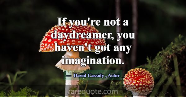 If you're not a daydreamer, you haven't got any im... -David Cassidy
