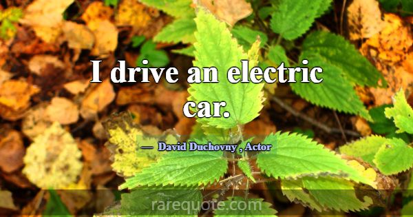 I drive an electric car.... -David Duchovny