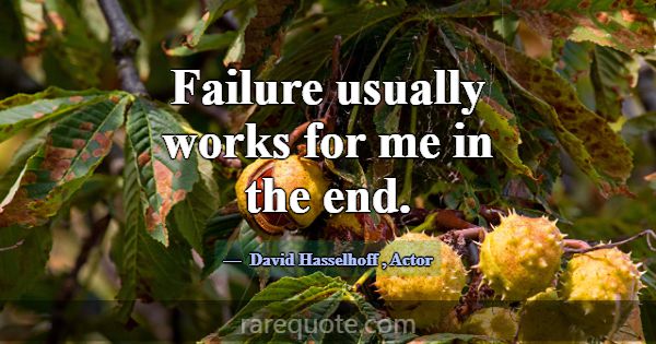 Failure usually works for me in the end.... -David Hasselhoff