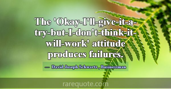 The 'Okay-I'll-give-it-a-try-but-I-don't-think-it-... -David Joseph Schwartz