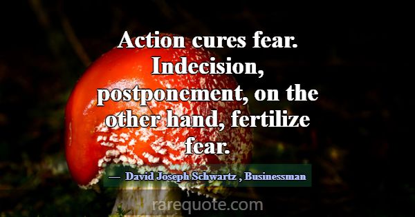Action cures fear. Indecision, postponement, on th... -David Joseph Schwartz