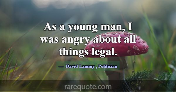 As a young man, I was angry about all things legal... -David Lammy