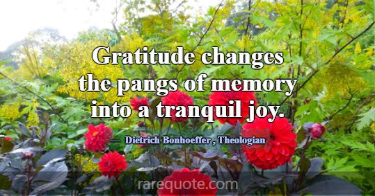 Gratitude changes the pangs of memory into a tranq... -Dietrich Bonhoeffer