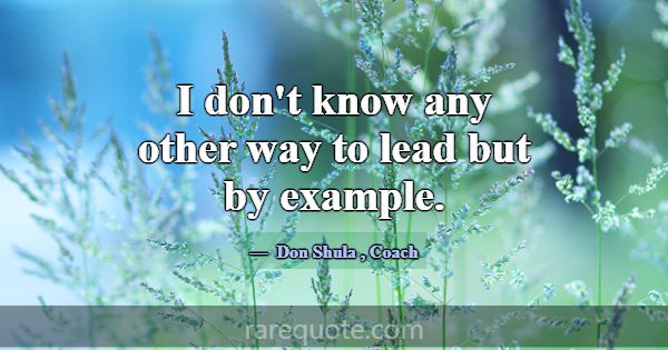 I don't know any other way to lead but by example.... -Don Shula