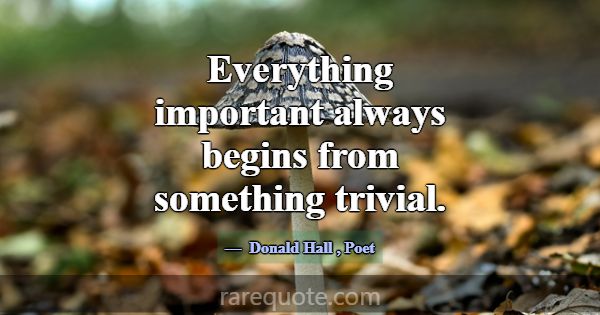 Everything important always begins from something ... -Donald Hall