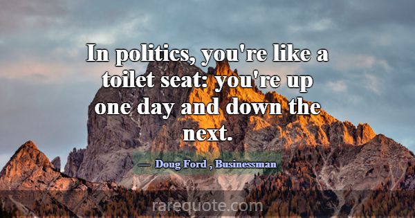 In politics, you're like a toilet seat: you're up ... -Doug Ford