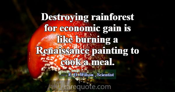 Destroying rainforest for economic gain is like bu... -E. O. Wilson
