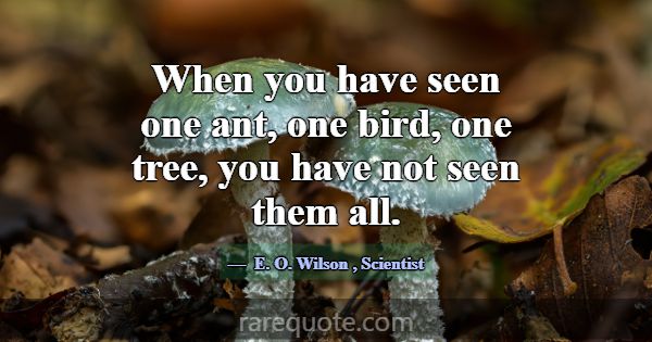 When you have seen one ant, one bird, one tree, yo... -E. O. Wilson