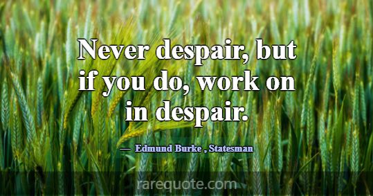 Never despair, but if you do, work on in despair.... -Edmund Burke