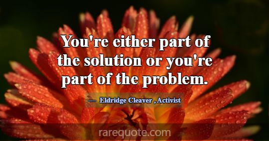 You're either part of the solution or you're part ... -Eldridge Cleaver