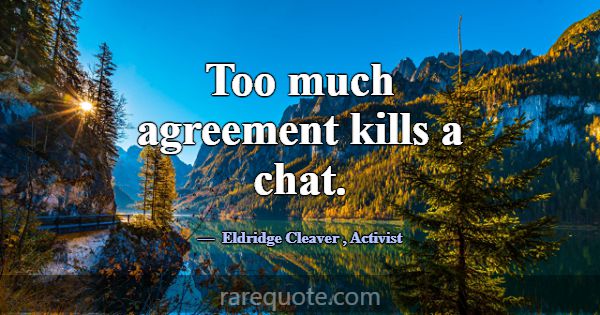 Too much agreement kills a chat.... -Eldridge Cleaver