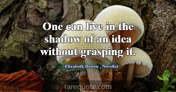 One can live in the shadow of an idea without gras... -Elizabeth Bowen