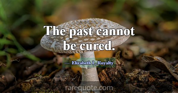 The past cannot be cured.... -Elizabeth I