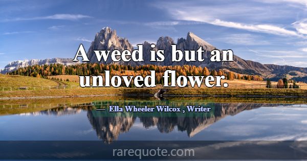 A weed is but an unloved flower.... -Ella Wheeler Wilcox