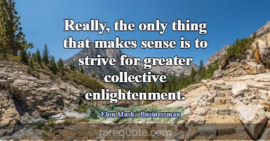 Really, the only thing that makes sense is to stri... -Elon Musk