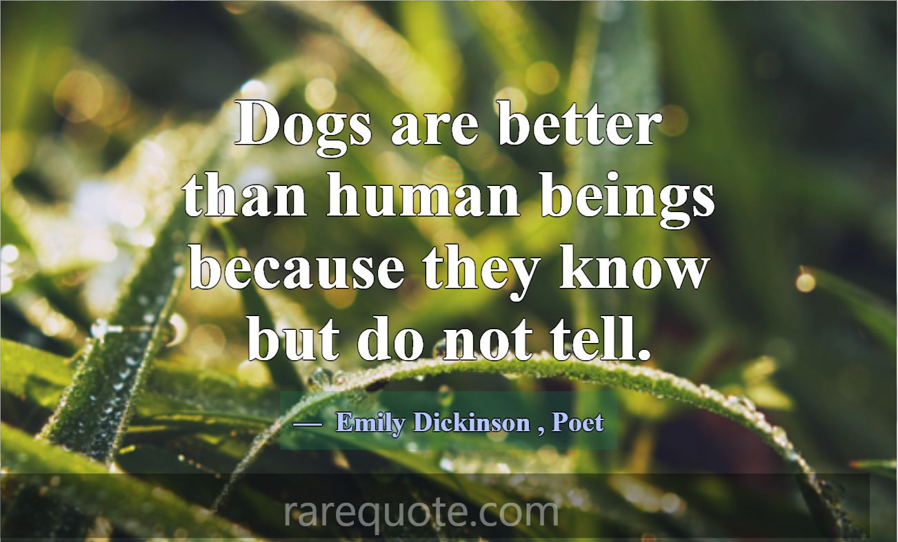 Dogs are better than human beings because they kno... -Emily Dickinson