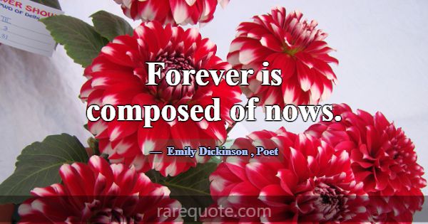 Forever is composed of nows.... -Emily Dickinson