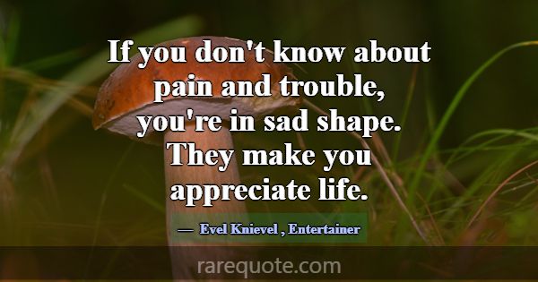 If you don't know about pain and trouble, you're i... -Evel Knievel