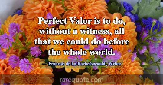 Perfect Valor is to do, without a witness, all tha... -Francois de La Rochefoucauld