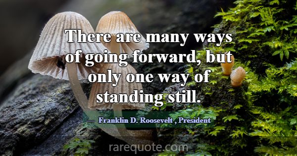 There are many ways of going forward, but only one... -Franklin D. Roosevelt