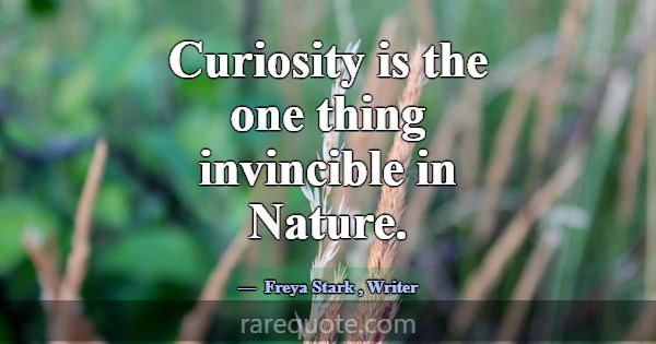 Curiosity is the one thing invincible in Nature.... -Freya Stark