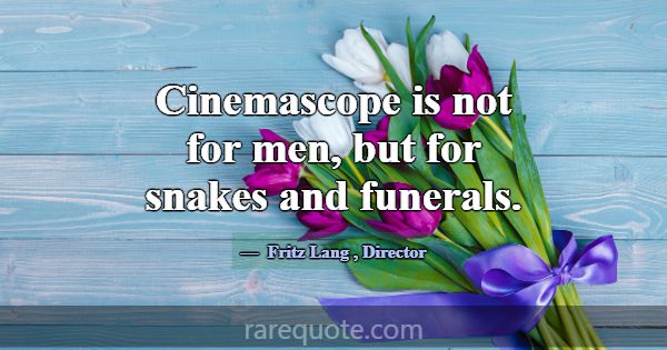 Cinemascope is not for men, but for snakes and fun... -Fritz Lang