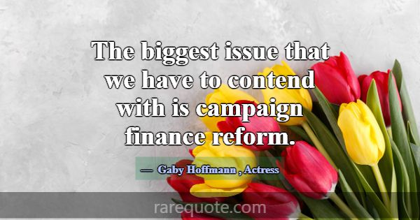 The biggest issue that we have to contend with is ... -Gaby Hoffmann