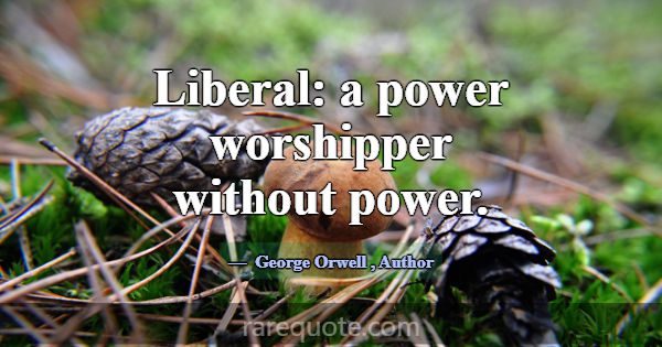 Liberal: a power worshipper without power.... -George Orwell