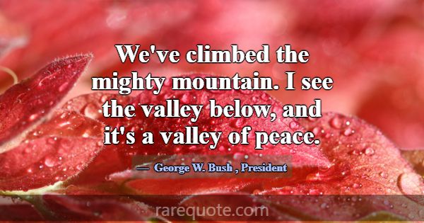 We've climbed the mighty mountain. I see the valle... -George W. Bush