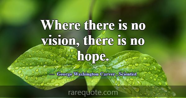 Where there is no vision, there is no hope.... -George Washington Carver