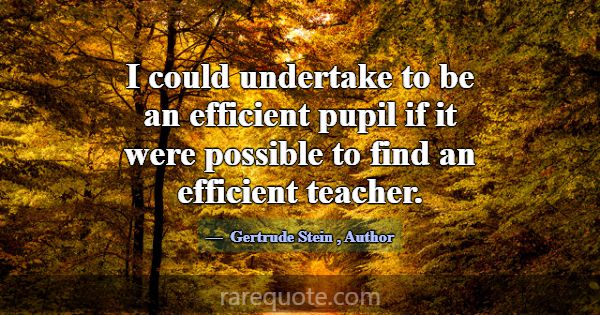 I could undertake to be an efficient pupil if it w... -Gertrude Stein