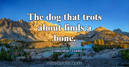 The dog that trots about finds a bone.... -Golda Meir