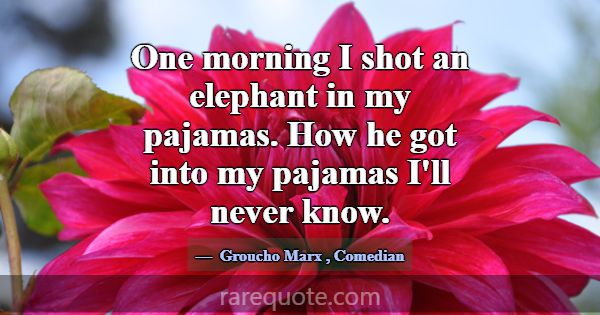 One morning I shot an elephant in my pajamas. How ... -Groucho Marx