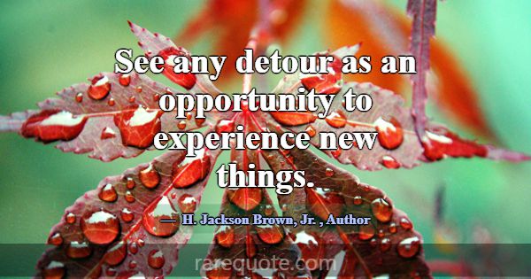See any detour as an opportunity to experience new... -H. Jackson Brown, Jr.