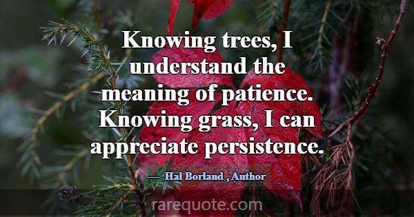 Knowing trees, I understand the meaning of patienc... -Hal Borland
