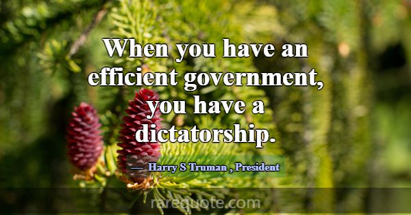 When you have an efficient government, you have a ... -Harry S Truman