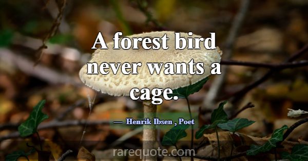 A forest bird never wants a cage.... -Henrik Ibsen
