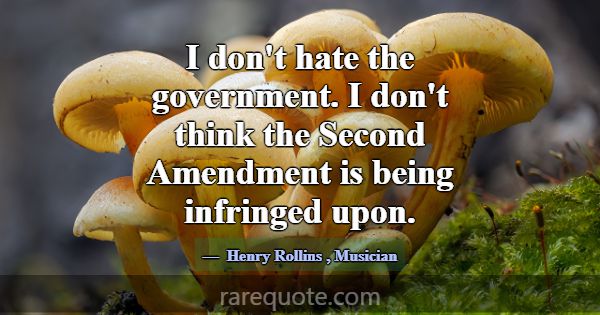 I don't hate the government. I don't think the Sec... -Henry Rollins