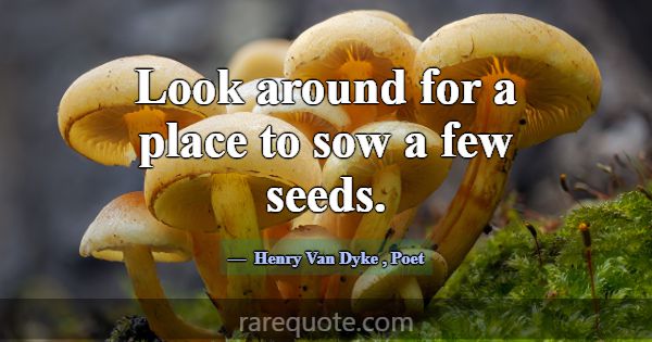 Look around for a place to sow a few seeds.... -Henry Van Dyke
