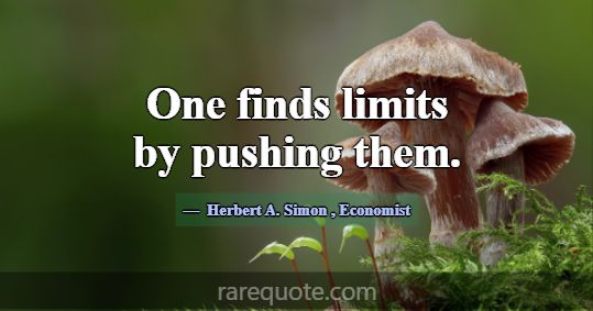 One finds limits by pushing them.... -Herbert A. Simon