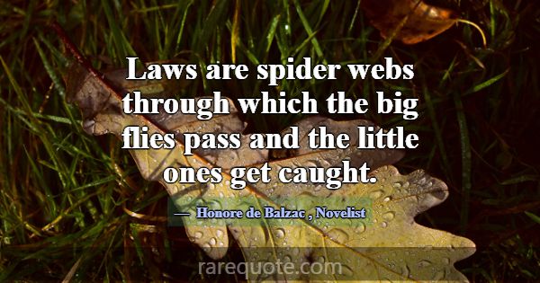 Laws are spider webs through which the big flies p... -Honore de Balzac