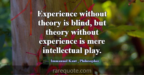 Experience without theory is blind, but theory wit... -Immanuel Kant