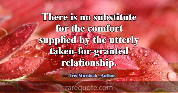 There is no substitute for the comfort supplied by... -Iris Murdoch