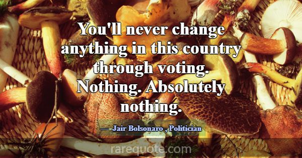 You'll never change anything in this country throu... -Jair Bolsonaro