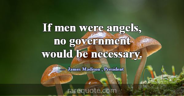 If men were angels, no government would be necessa... -James Madison
