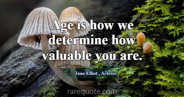 Age is how we determine how valuable you are.... -Jane Elliot