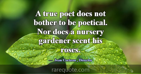 A true poet does not bother to be poetical. Nor do... -Jean Cocteau