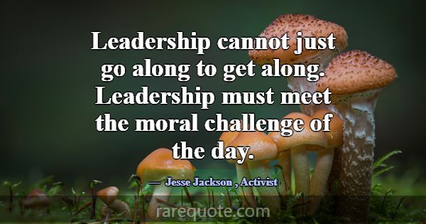 Leadership cannot just go along to get along. Lead... -Jesse Jackson