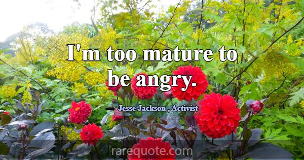 I'm too mature to be angry.... -Jesse Jackson